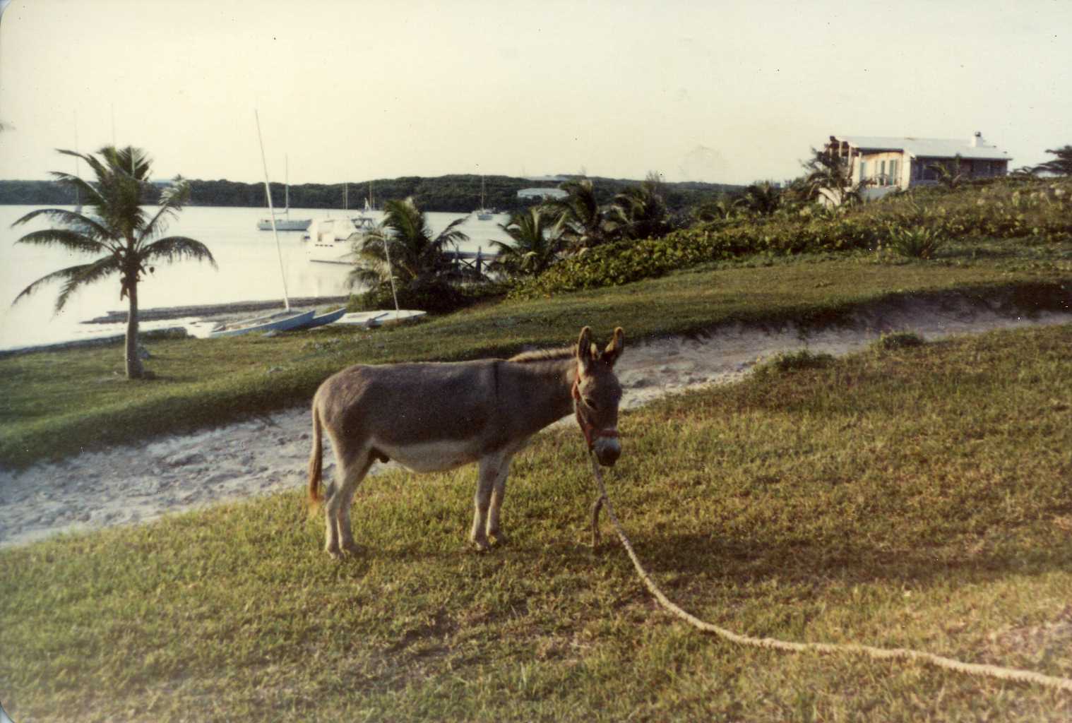 198x Abaco Inn02.jpg